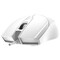 Фото - Миша A4Tech OP-750S White | click.ua