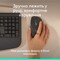 Фото - Мышь беспроводная Logitech Signature Comfort Plus M850 L Graphite (910-007715) | click.ua