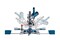 Фото - Пила Bosch Professional GCM 305-216 D (0.601.B49.000) | click.ua
