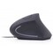 Фото - Миша Gembird MUS-ERGO-01 Black USB | click.ua