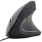 Фото - Миша Gembird MUS-ERGO-01 Black USB | click.ua