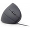 Фото - Миша Gembird MUS-ERGO-01 Black USB | click.ua