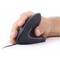 Фото - Миша Gembird MUS-ERGO-01 Black USB | click.ua