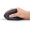 Фото - Миша Gembird MUS-ERGO-01 Black USB | click.ua