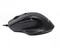 Фото - Миша Maxxter Mc-6B01 Black | click.ua