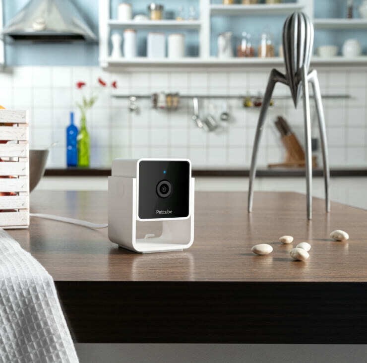 IP-камера Petcube Cam (CC10US)