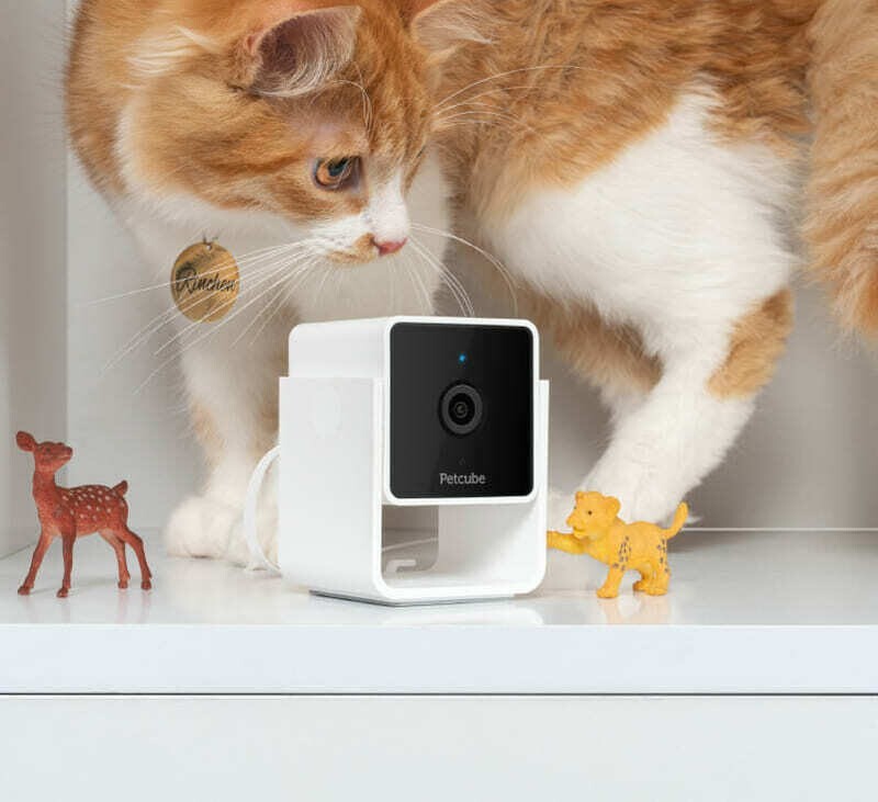IP-камера Petcube Cam (CC10US)