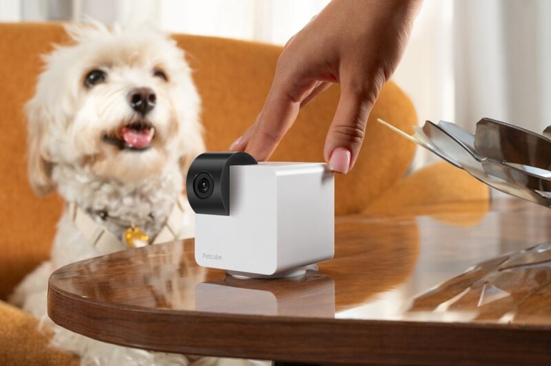 IP-камера Petcube Cam 360 (P36010US)
