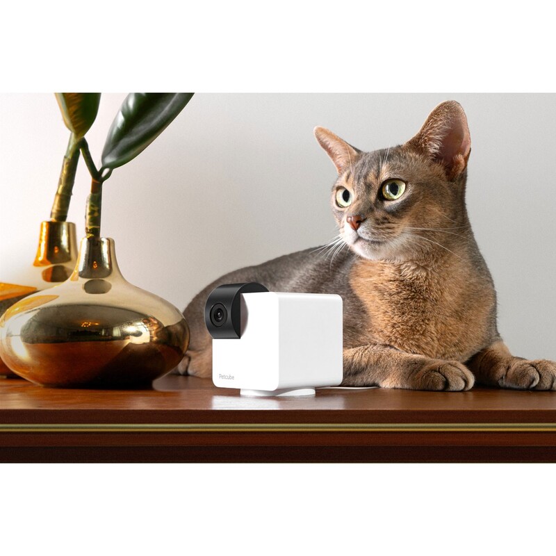 IP-камера Petcube Cam 360 (P36010US)