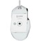 Фото - Миша Lorgar Pro MSP80 Wired USB White (LRG-MSP80-WH) | click.ua