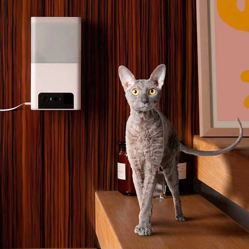 IP-камера Petcube Bites 2 Lite (BL10US)
