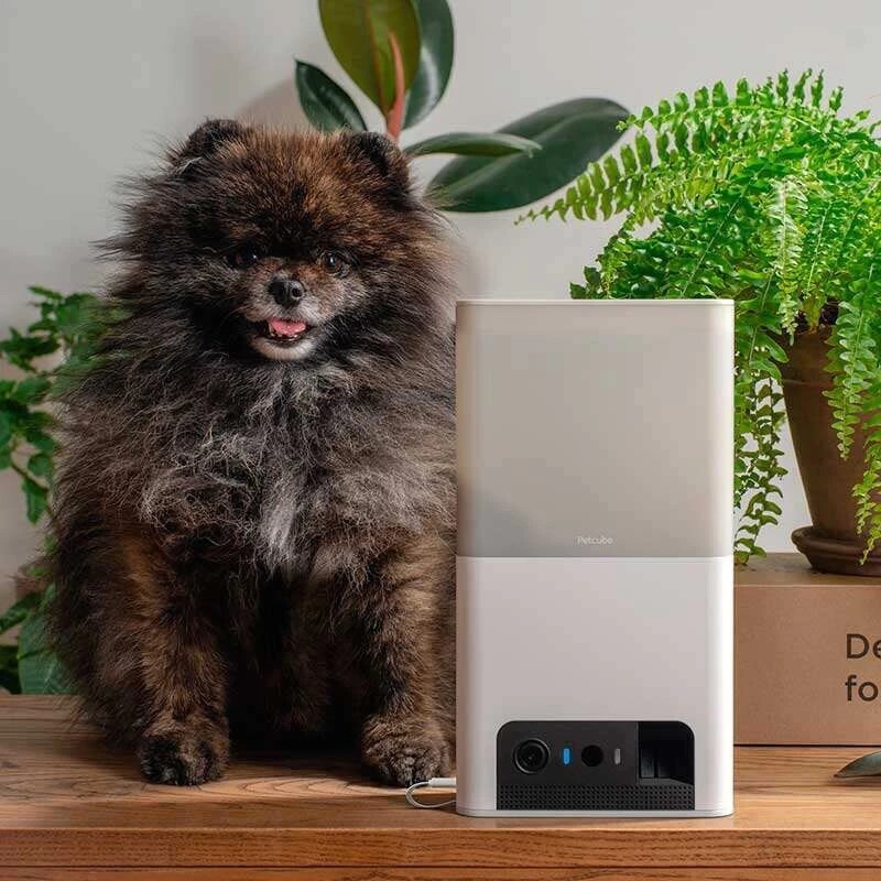 IP-камера Petcube Bites 2 Lite (BL10US)