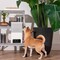 Фото - IP-камера Petcube Bites 2 Lite (BL10US) | click.ua