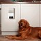 Фото - IP-камера Petcube Bites 2 Lite (BL10US) | click.ua