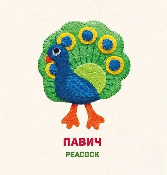 Картонки. Птицы / Елена Забара