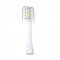 Фото - Насадка для зубної електрощітки Xiaomi Oclean P1 Toothbrush Head для Z1/X/SE/Air/One White 2шт | click.ua
