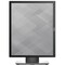 Фото - Монітор Dell 19" P1917S (210-AJBG) IPS Black | click.ua