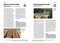 Фото - Краткая история архитектуры / Сьюзи Ходж | click.ua