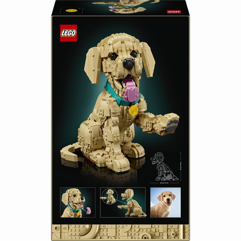 Конструктор LEGO Icons Щенок золотистого ретривера (11384)