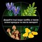 Фото - Конструктор LEGO Botanicals Лесные грибы (11505) | click.ua