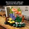 Фото - Конструктор LEGO Botanicals Лесные грибы (11505) | click.ua