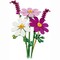 Фото - Конструктор LEGO Botanicals Цветы космеи (11514) | click.ua