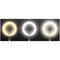 Фото - Кільцева LED-лампа Puluz EDA005489 5" + штатив | click.ua
