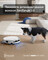 Фото - Робот-пилосос Ecovacs Deebot T50S Pro Omni White (DEX69) | click.ua