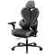 Фото - Крісло для геймерів AeroCool WING 360 Loft Air Dark Grey (TEGC-309700Z.Z1) | click.ua