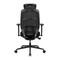 Фото - Крісло для геймерів AeroCool SKY 360 Mesh Black (TEGC-3105101.11) | click.ua