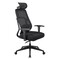 Фото - Кресло для геймеров AeroCool SKY Lite Mesh Black (TEGC-3106101.11) | click.ua