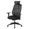 Фото - Кресло для геймеров AeroCool SKY Lite Mesh Black (TEGC-3106101.11) | click.ua