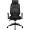 Фото - Кресло для геймеров AeroCool SKY Lite Mesh Black (TEGC-3106101.11) | click.ua