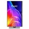 Фото - Монiтор Asus 23.8" ProArt PA249CGV (90LM0031-B01K71) IPS Silver/Black 144Hz | click.ua