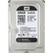 Фото - Накопитель HDD SATA  500GB WD Black 7200rpm 64MB (WD5003AZEX) Refurbished | click.ua