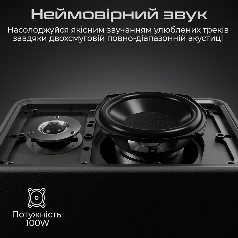 Акустична система HiFuture Passion X Black (passion-x.black)