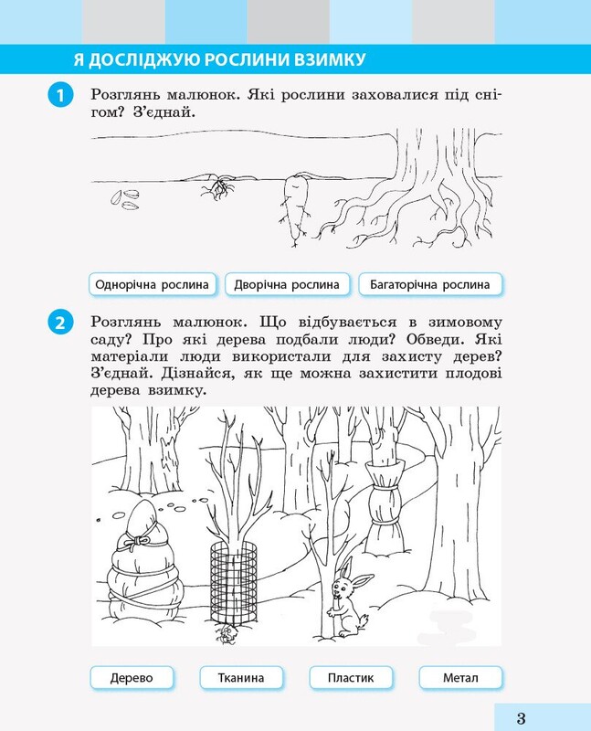 НУШ Я досліджую світ. 2 клас. Робочий зошит до підручника Інни Большакової, Марини Пристінської. Частина 2