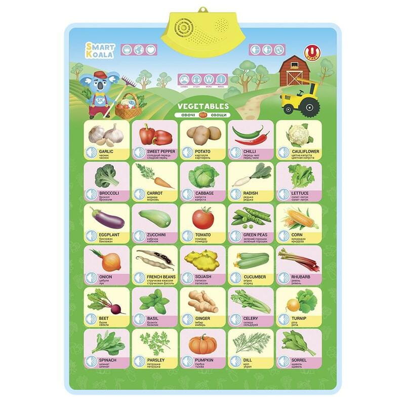 Постер интерактивный Smart Koala Овощи (SKCIV2)