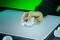 Фото - Миша бездротова Razer Viper V4 Pro Wireless White (RZ01-05630200-R3G1) | click.ua