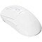 Фото - Мышь Lorgar Advanced MSA10W Wireless White (LRG-MSA10W-WH) | click.ua