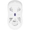Фото - Мышь Lorgar Advanced MSA10W Wireless White (LRG-MSA10W-WH) | click.ua