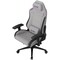 Фото - Крісло для геймерів Lorgar Pro CHA41 Grey (LRG-CHA41-GY) | click.ua