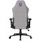 Фото - Крісло для геймерів Lorgar Pro CHA41 Grey (LRG-CHA41-GY) | click.ua