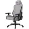 Фото - Крісло для геймерів Lorgar Pro CHA41 Grey (LRG-CHA41-GY) | click.ua