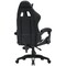 Фото - Крісло для геймерів Canyon Core SGCH2 Black/White (CNE-SGCH2W) | click.ua