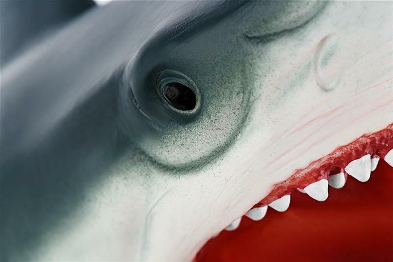 Играшка-рукавичка Same Toy Акула (X301UT)