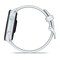 Фото - Смарт-часы Garmin Forerunner 70 GPS Whitestone (010-04307-01) | click.ua