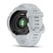 Фото - Смарт-часы Garmin Forerunner 70 GPS Whitestone (010-04307-01) | click.ua