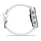 Фото - Смарт-часы Garmin Forerunner 170 GPS Whitestone/Cloud Blue (010-03920-01) | click.ua