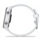 Фото - Смарт-часы Garmin Forerunner 170 Music GPS Whitestone/Cloud Blue (010-03920-11) | click.ua